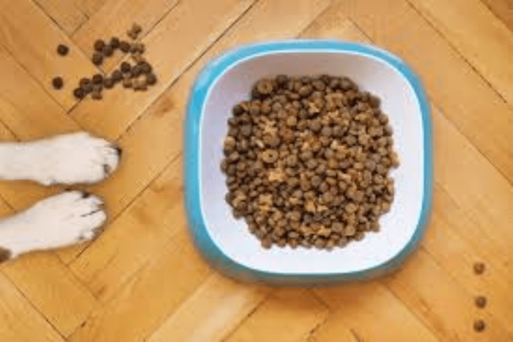 alimentos para perros caniches