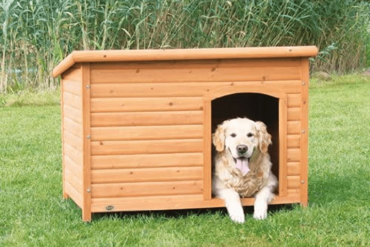 casa para perros
